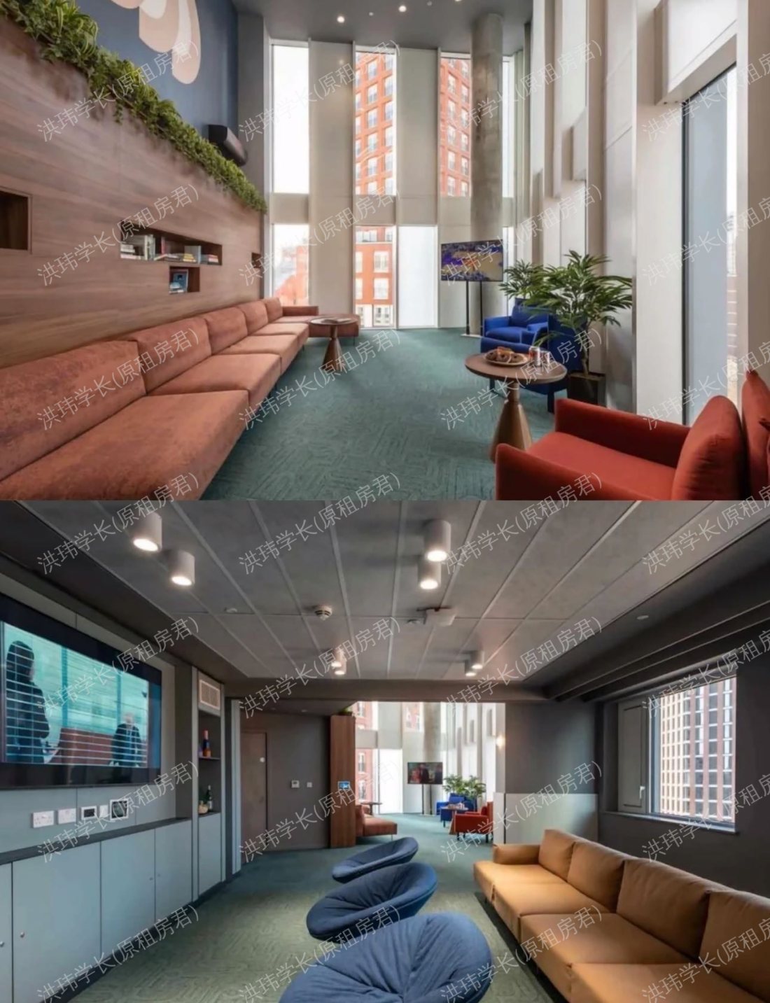 Vega student accommodation 公寓