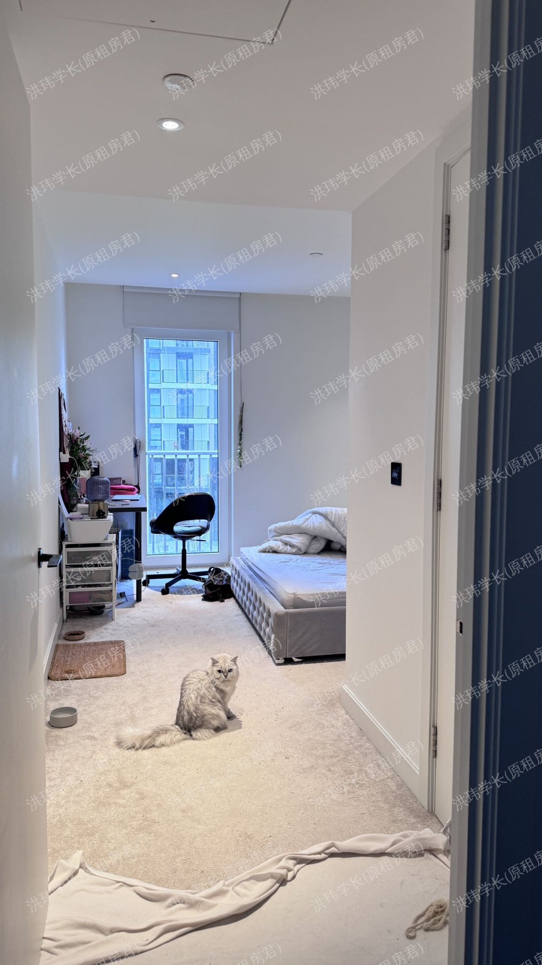 rooms picture
