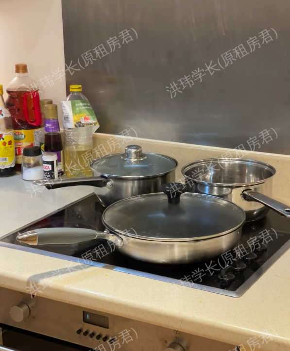 100 Perspective公寓