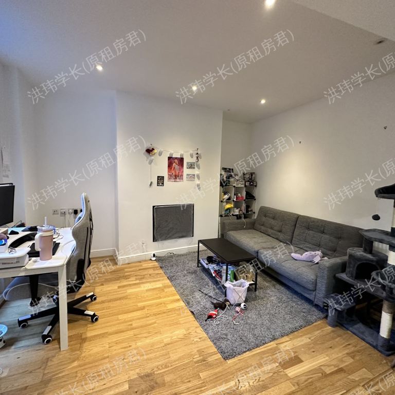 rooms picture
