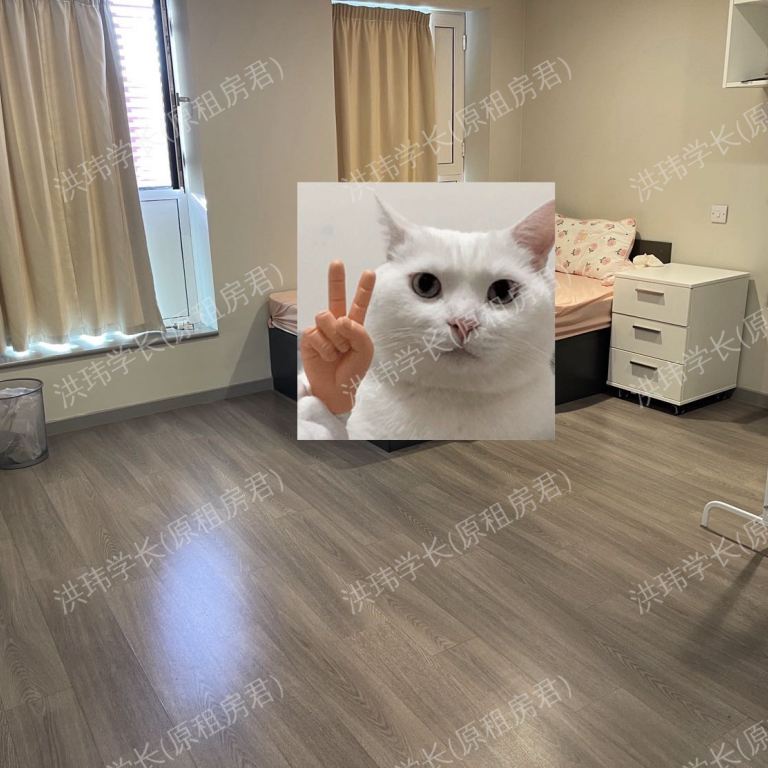 rooms picture