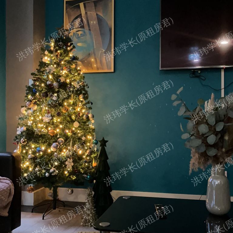 rooms picture