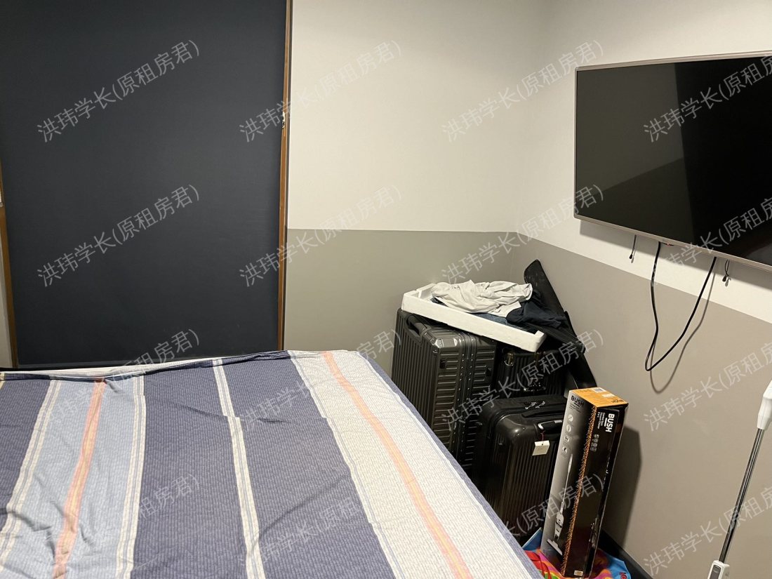 canto court student accommodation 公寓