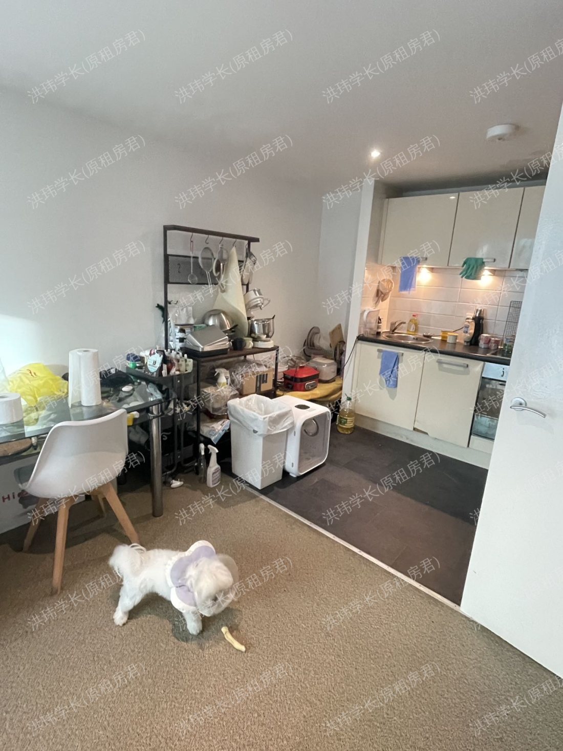 Velocity village公寓