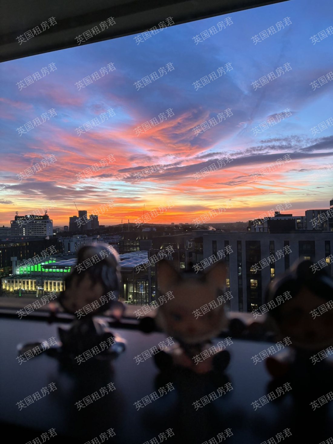 Unite Students公寓