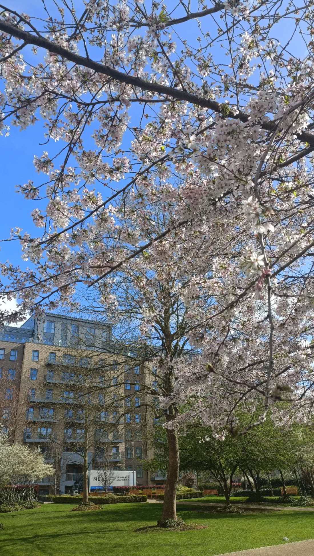 Fermont House 公寓