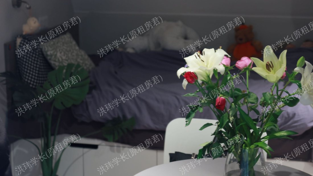 rooms picture