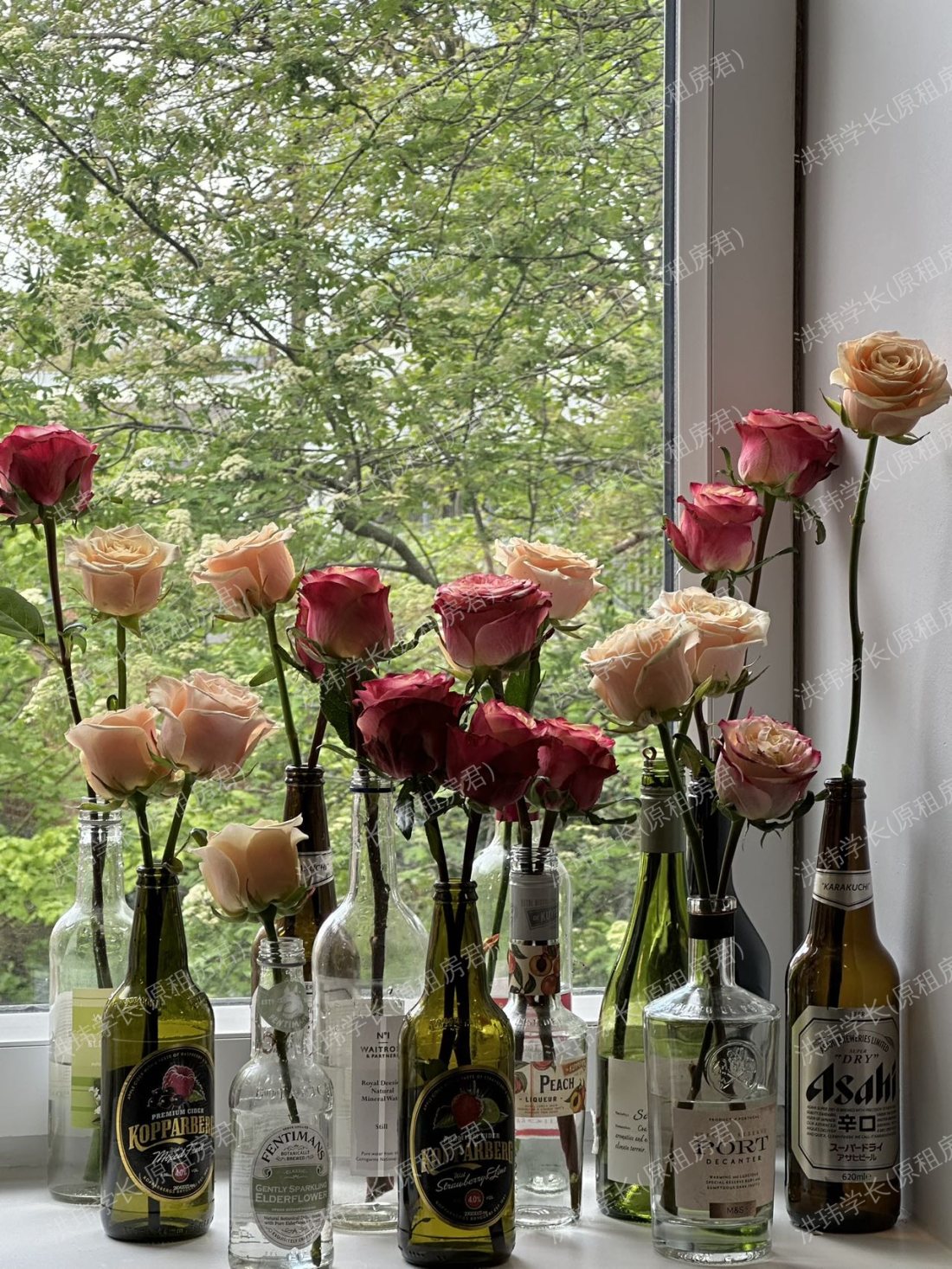 IQ tufunell house公寓