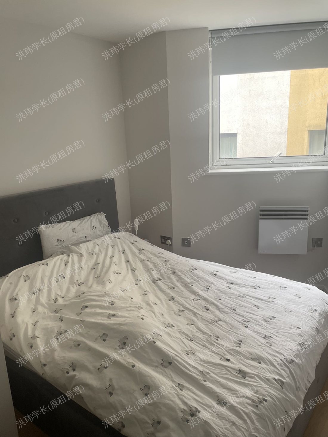 rooms picture