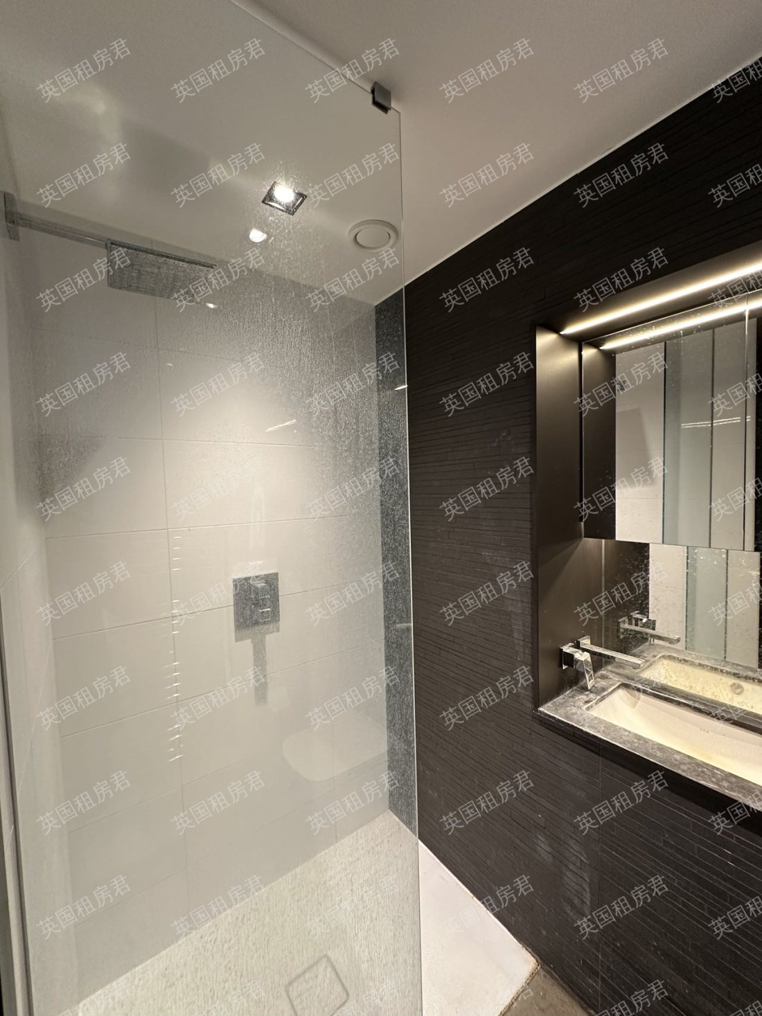 私人公寓 MN-The Madison Amory Tower公寓