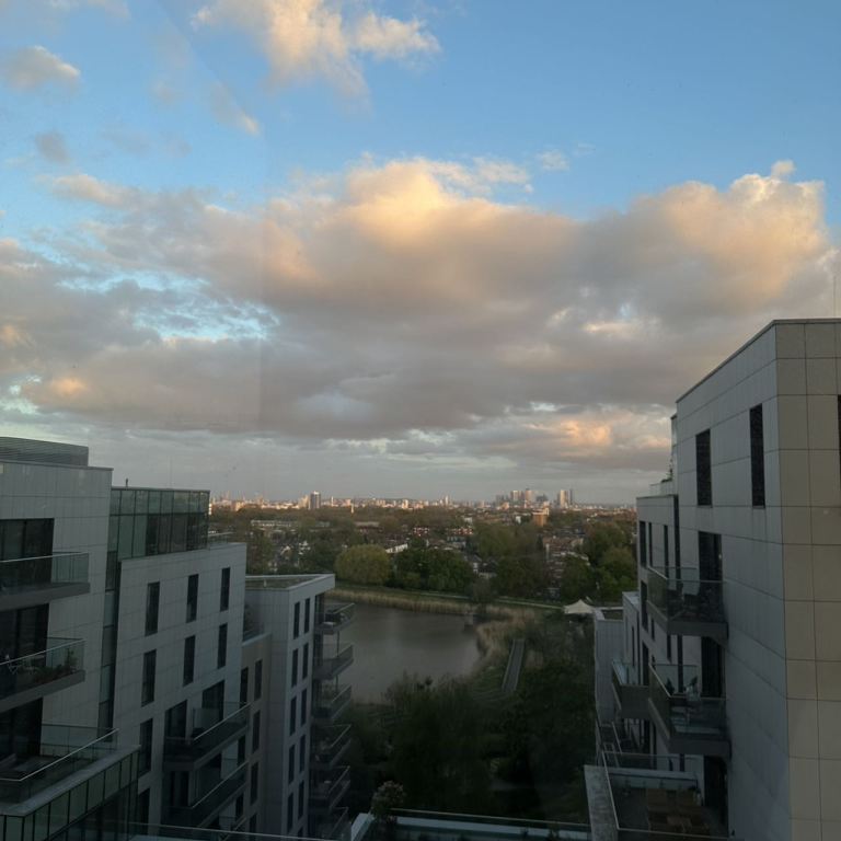 Skyline apartments 转租