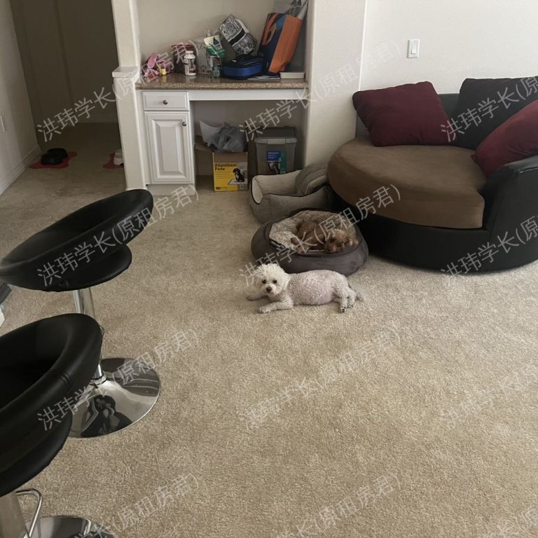 rooms picture