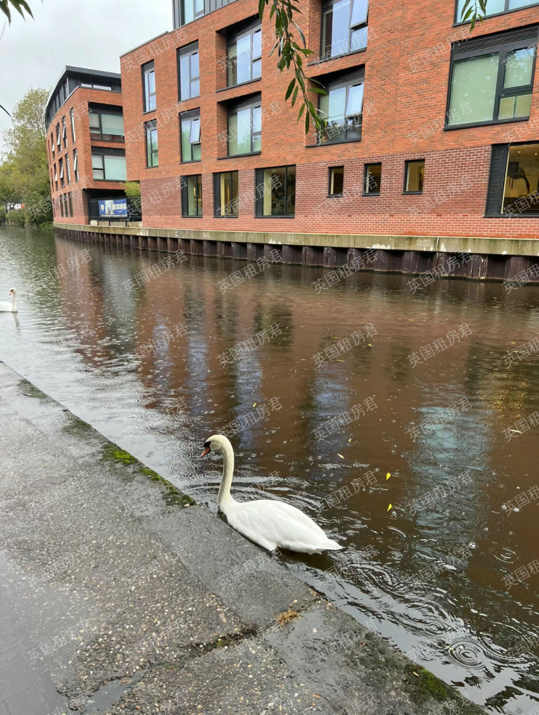 Boulevard Wharf公寓