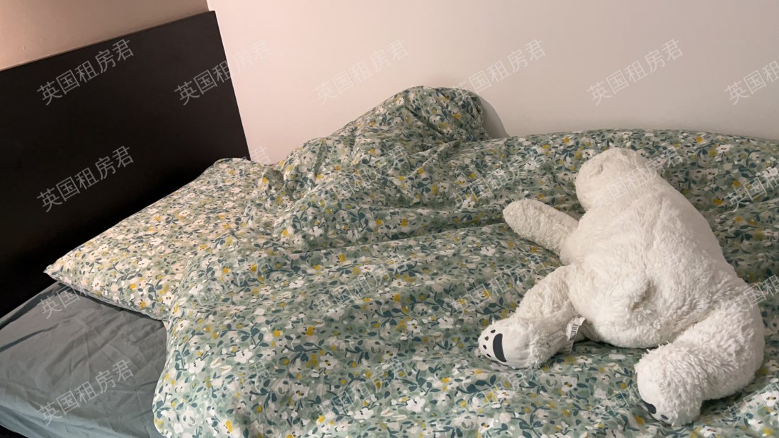 IQ City student accommodation 公寓