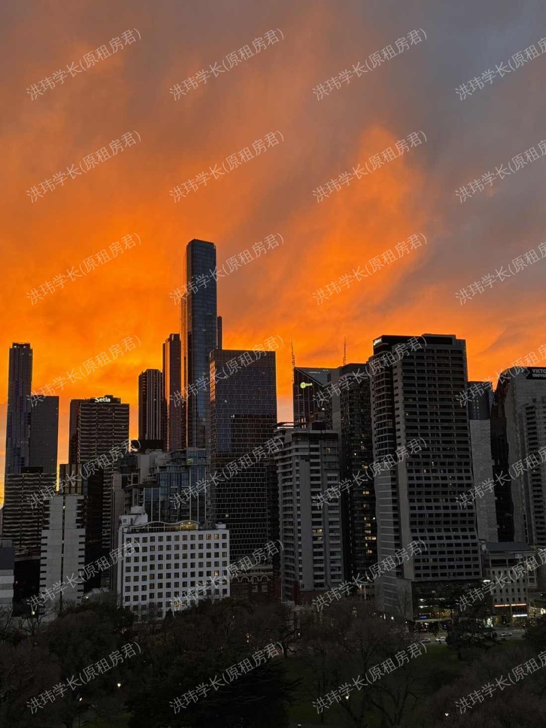 Flagstaff green 公寓