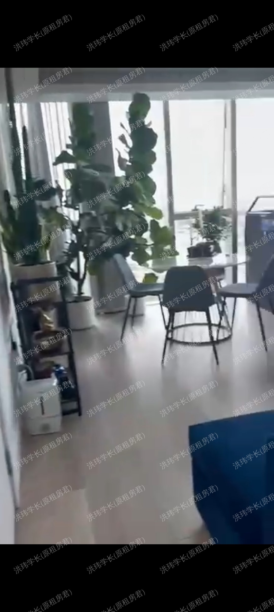 Carrara Tower 公寓