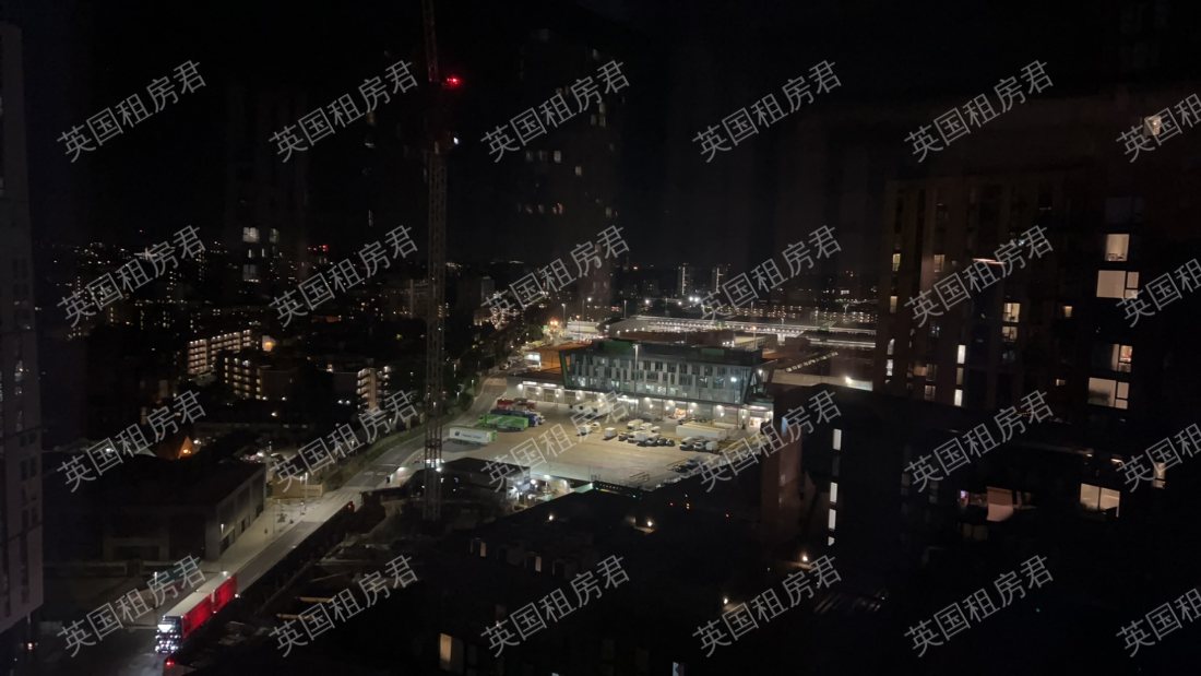 Vauxhall/Nine Elms - Embassy Gardens公寓