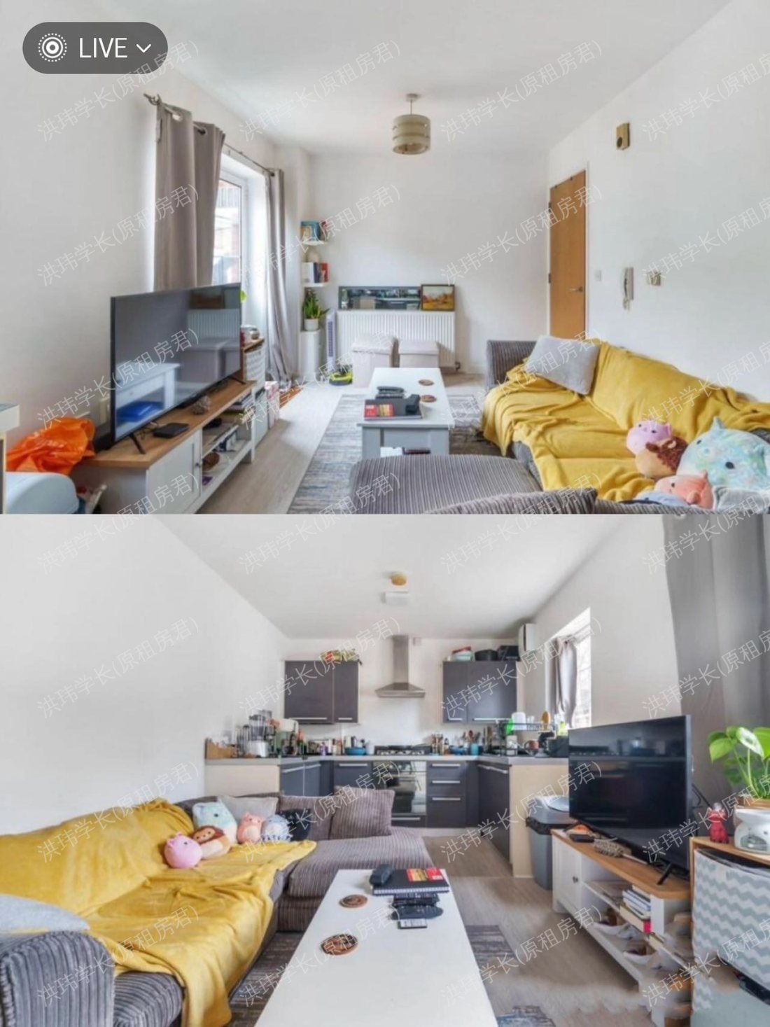 Springfield court公寓