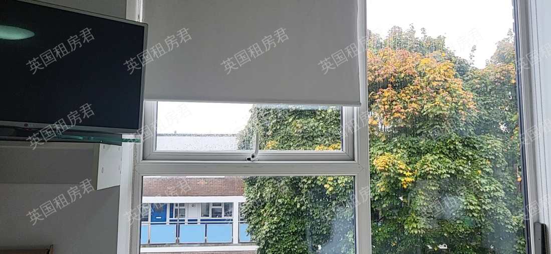 61 earlsdon street公寓