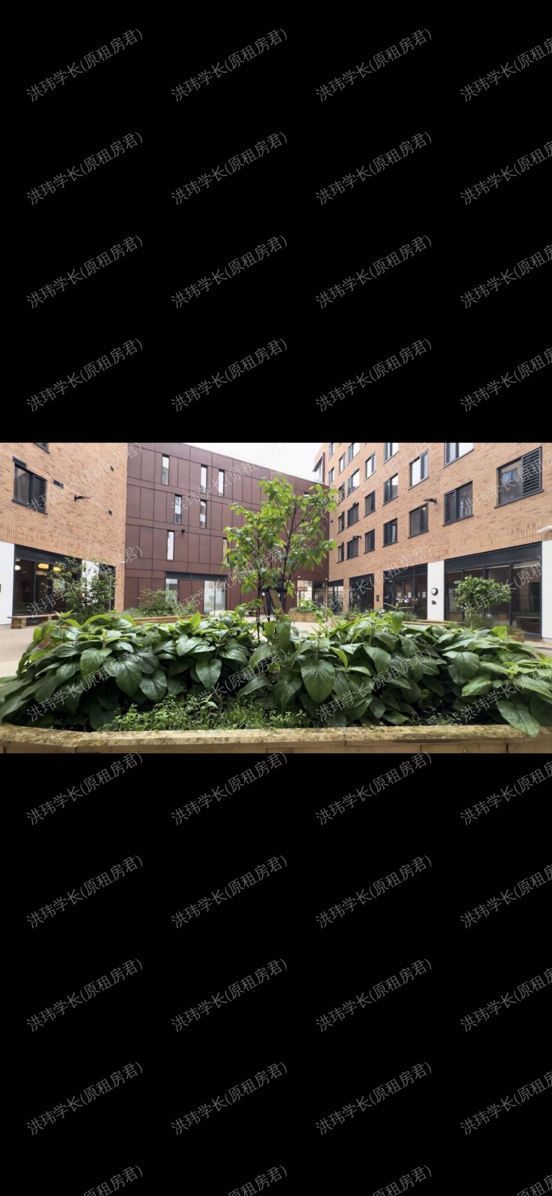 Campbell House公寓