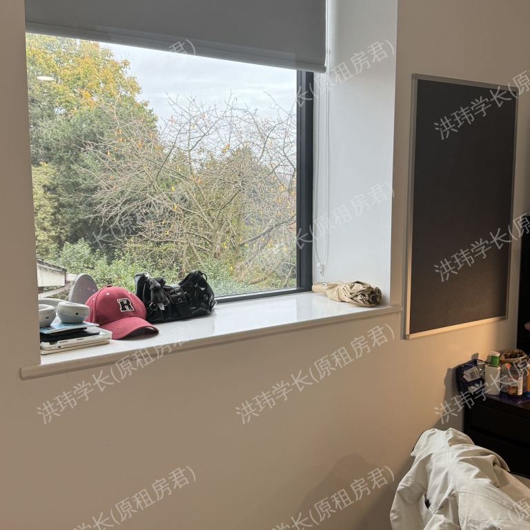rooms picture