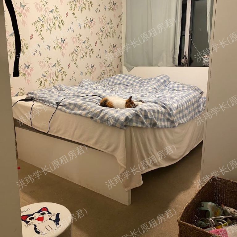 rooms picture