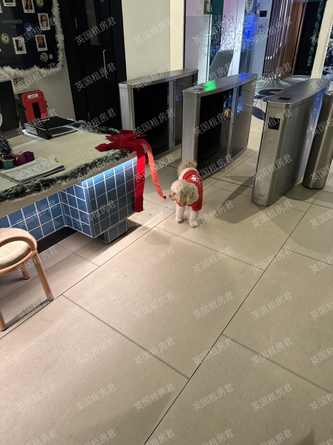 iQ Hammersmith公寓