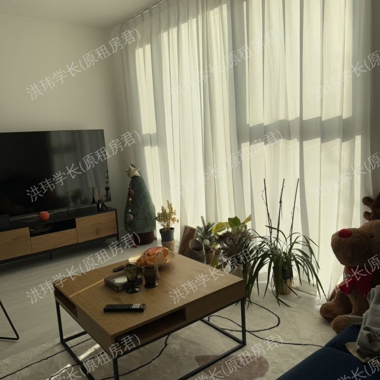 rooms picture