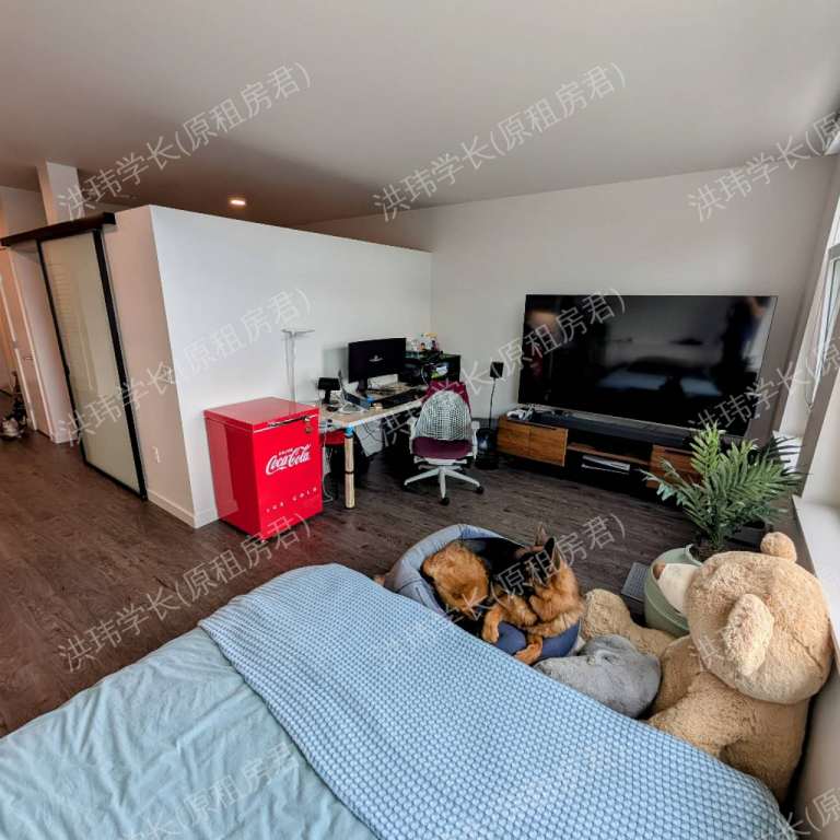 rooms picture