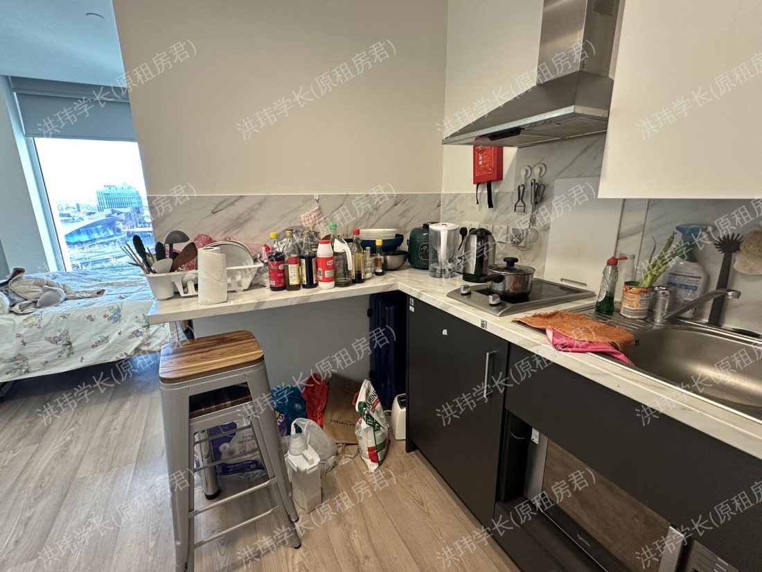 Eleanor Rosa House公寓