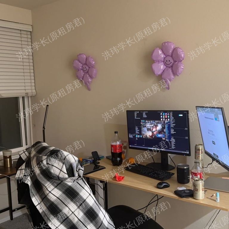 rooms picture