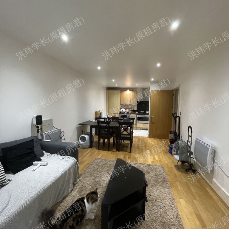 rooms picture