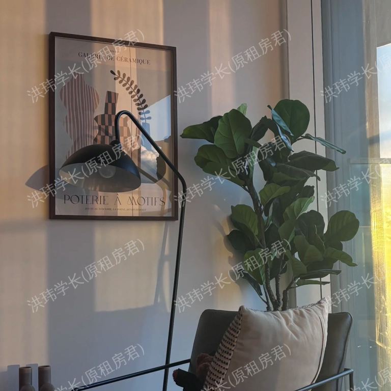 rooms picture