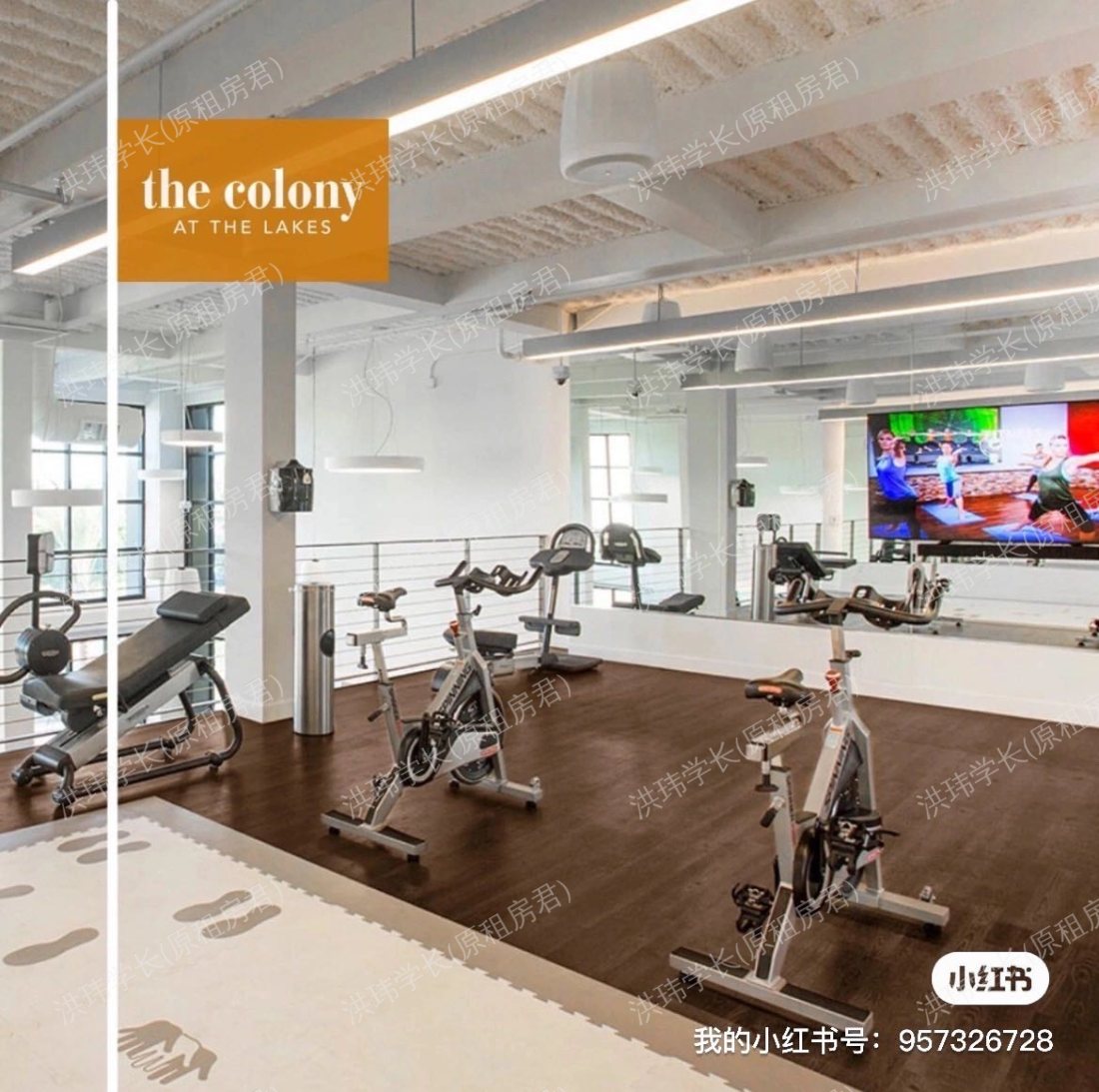 The colony at the lakes公寓
