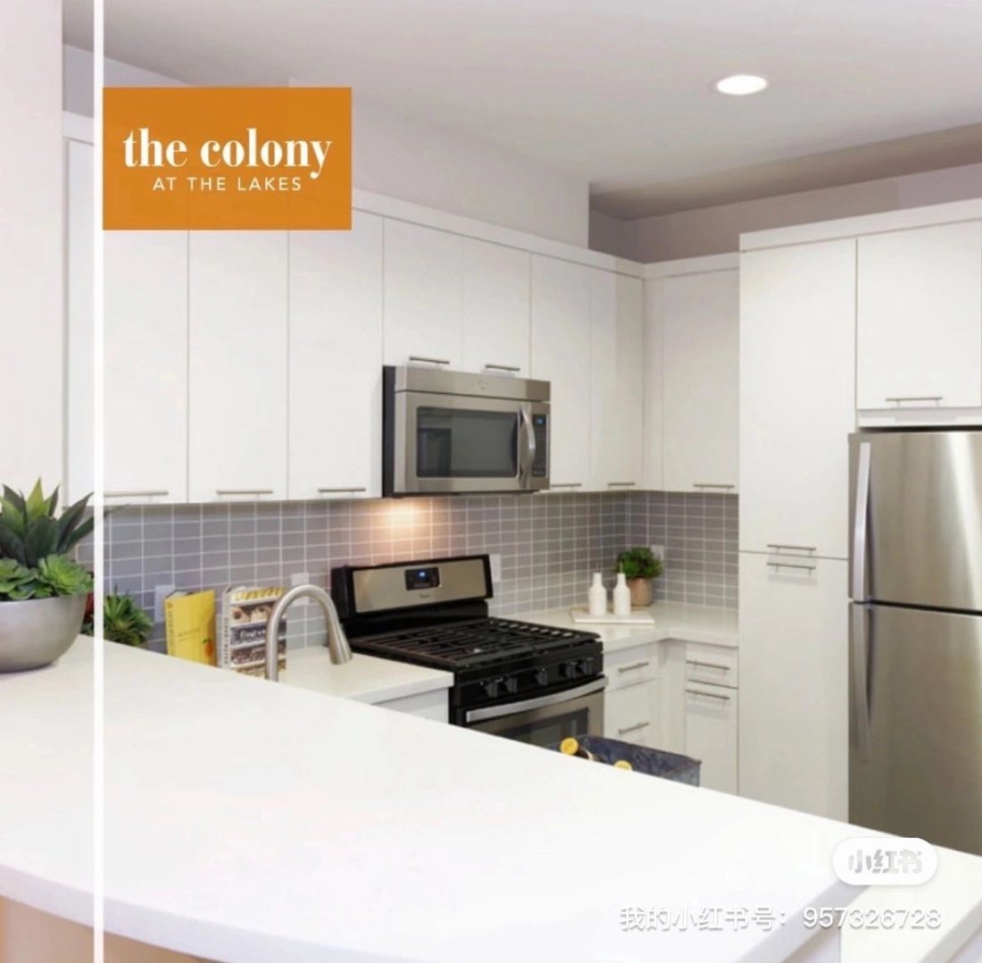 The colony at the lakes公寓