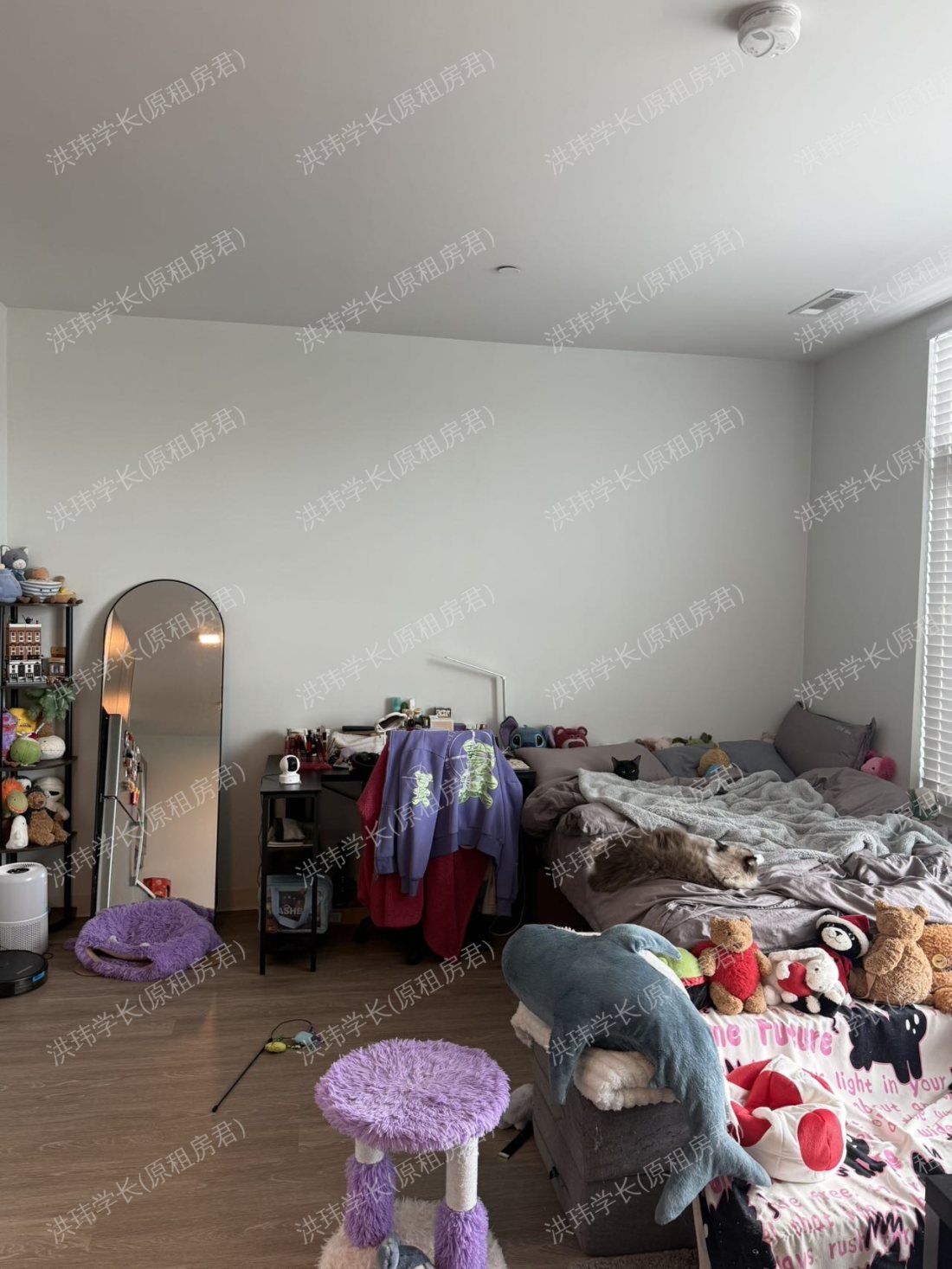 rooms picture