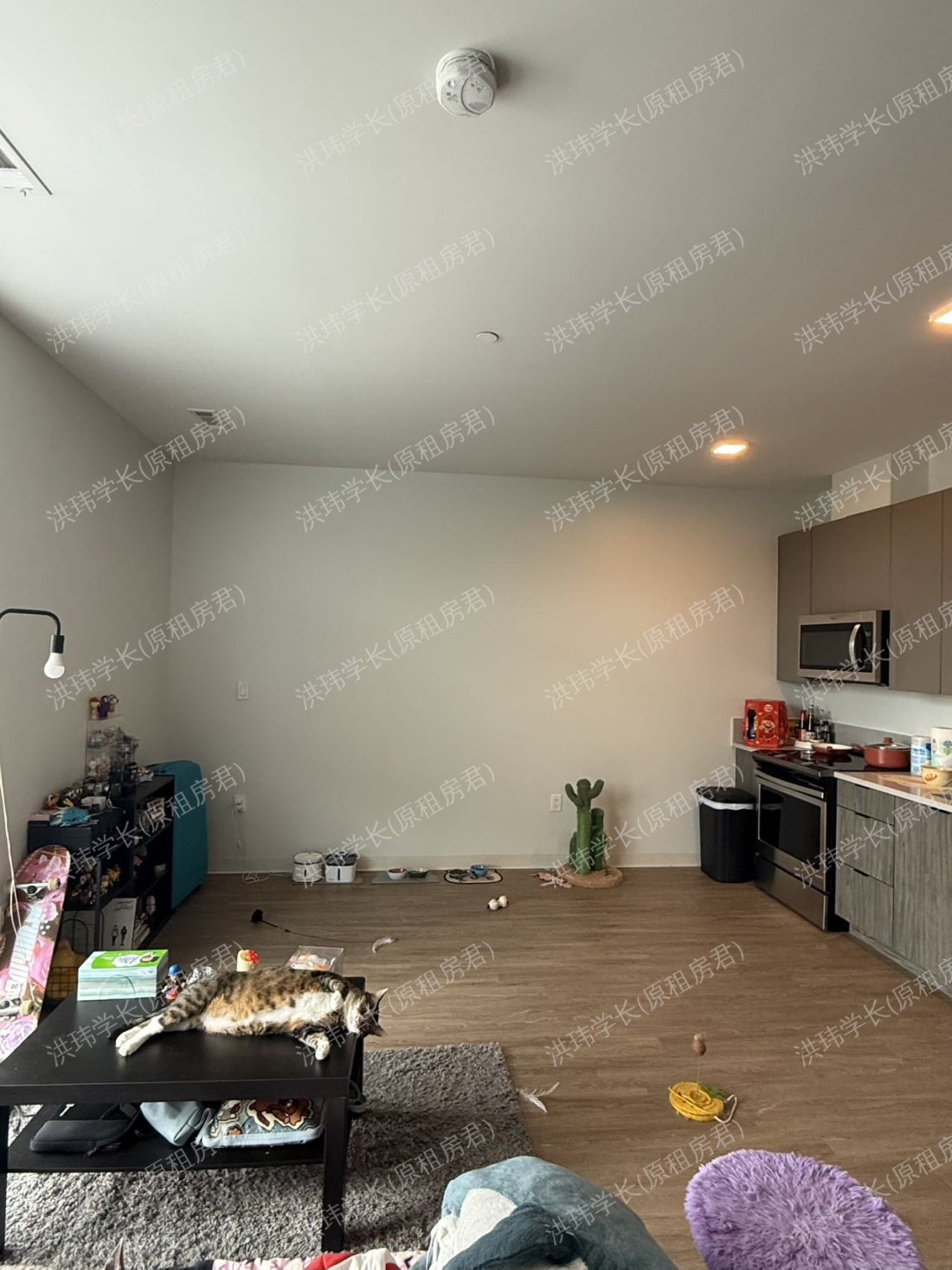 rooms picture