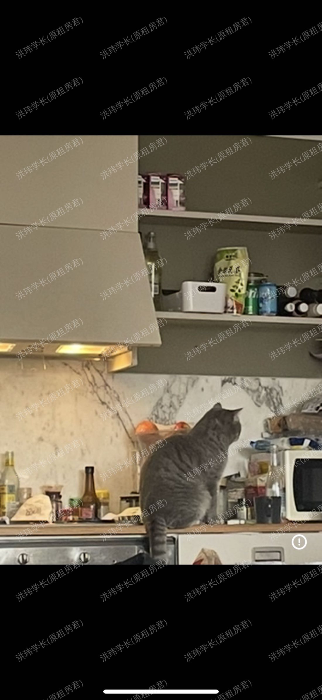 Montana building公寓