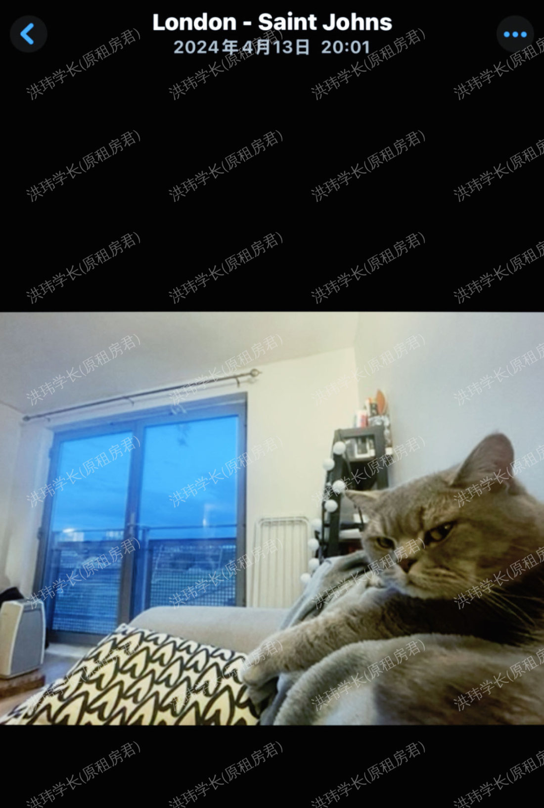 Montana building公寓