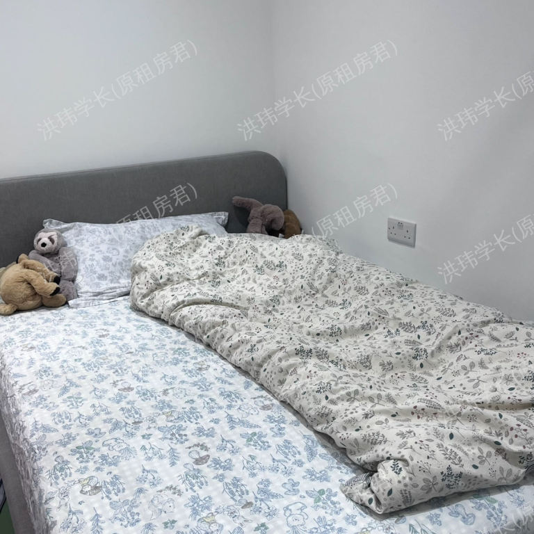 rooms picture