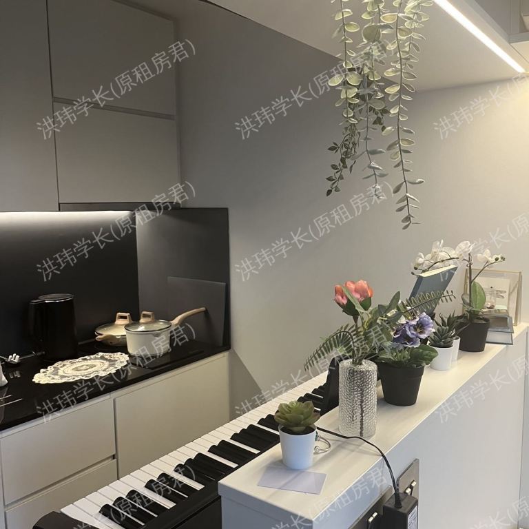 rooms picture