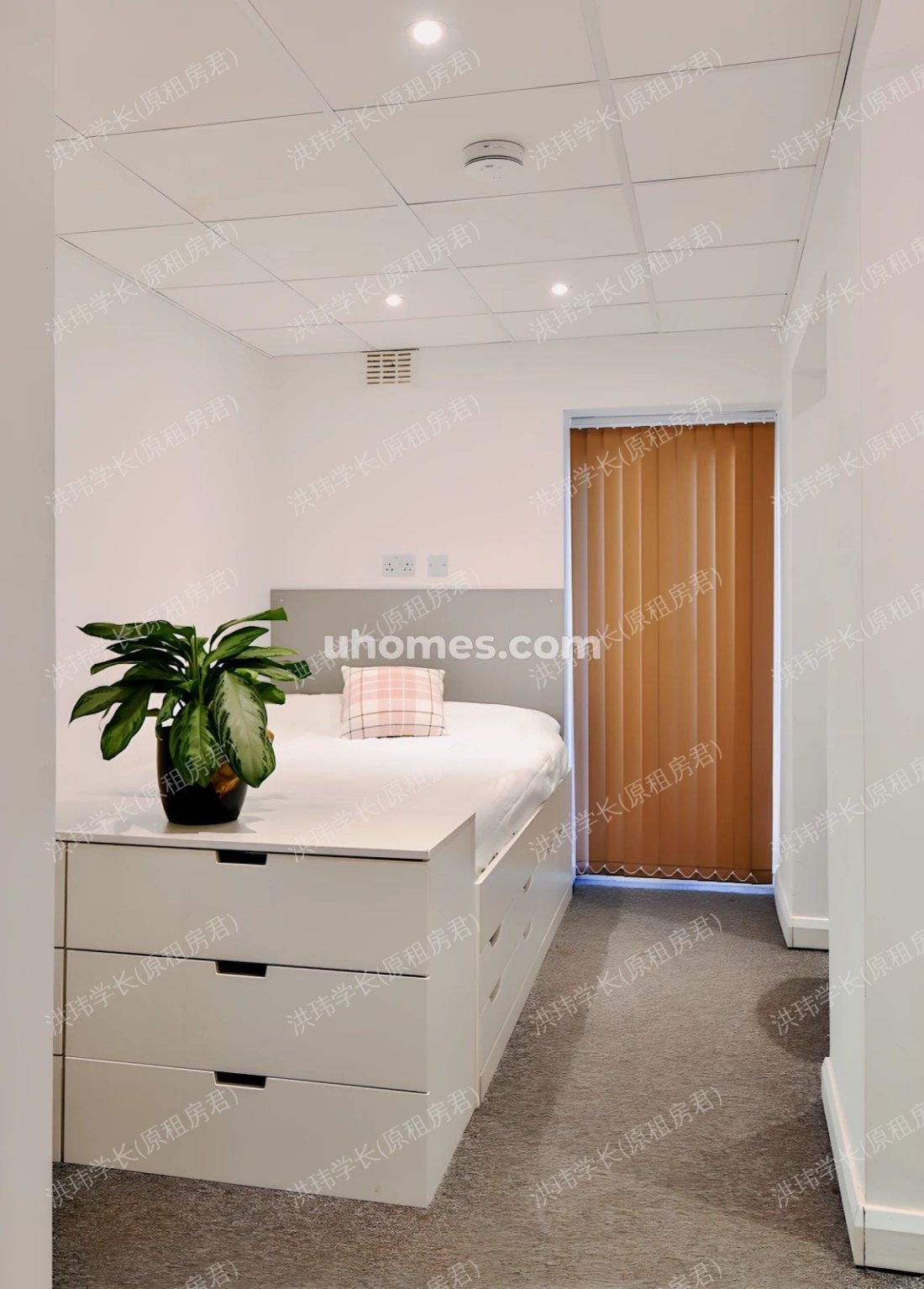 Duncan smith house公寓