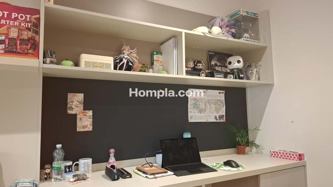 IQ Vega apartment