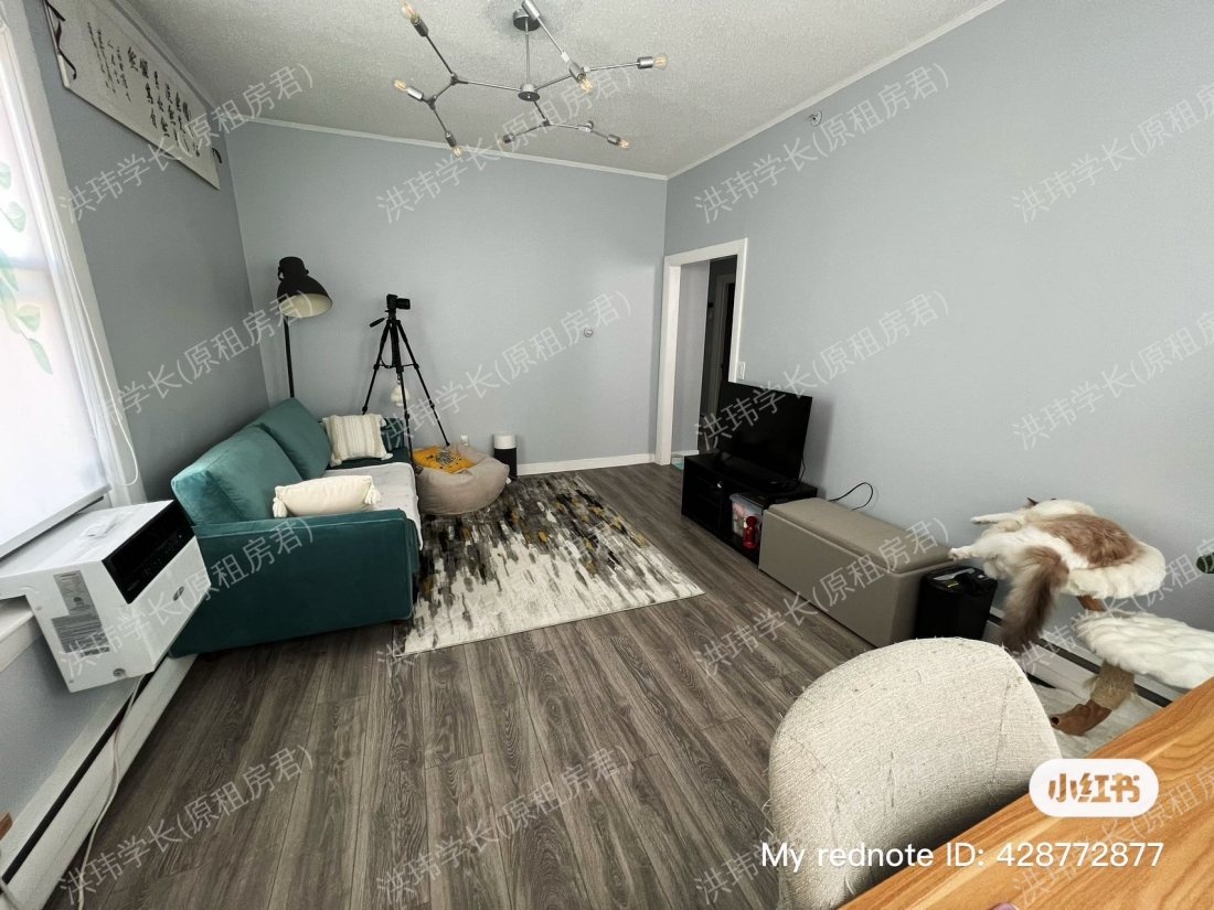 793 Main Street Condo公寓