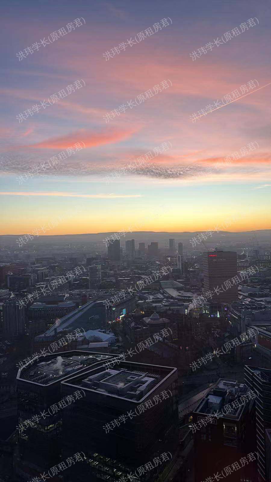 Cortland colliers yard公寓