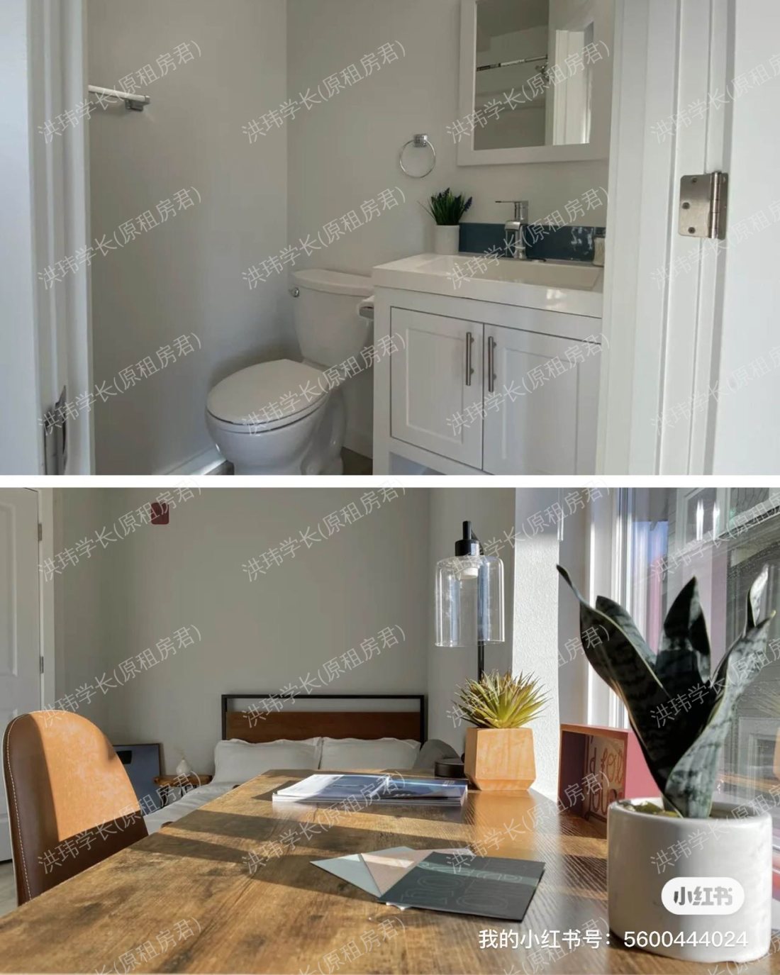 ACE Apartment 公寓