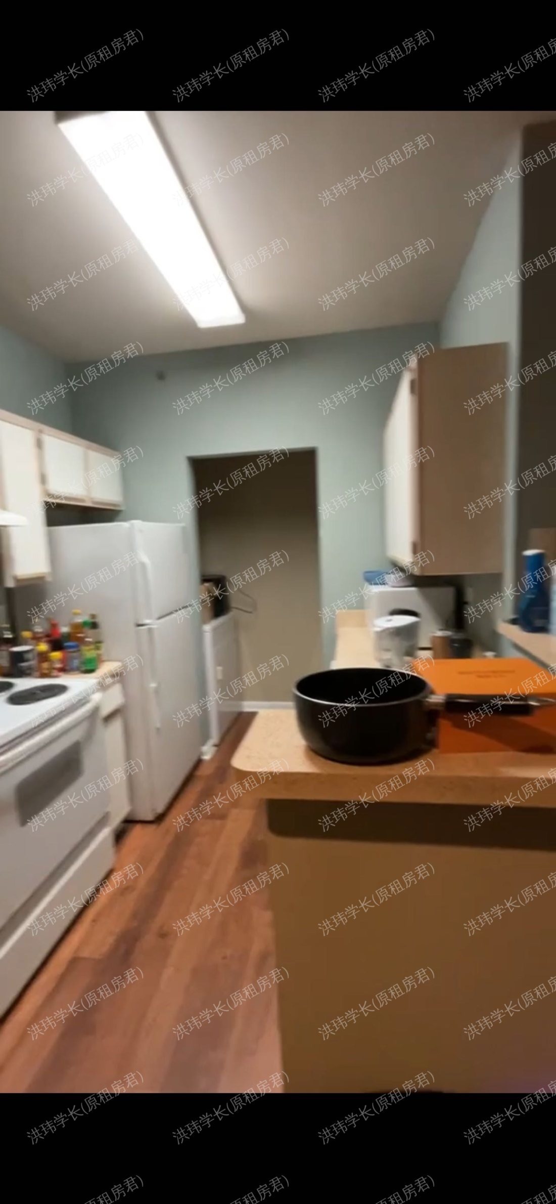 the Belmont apartment公寓