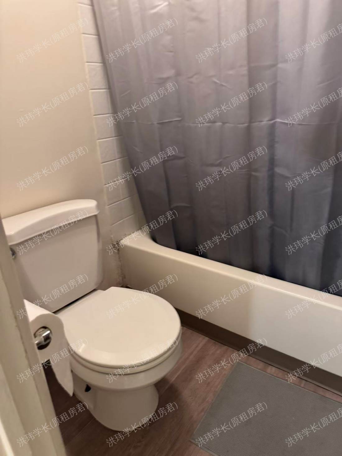 willowtree apartments 公寓