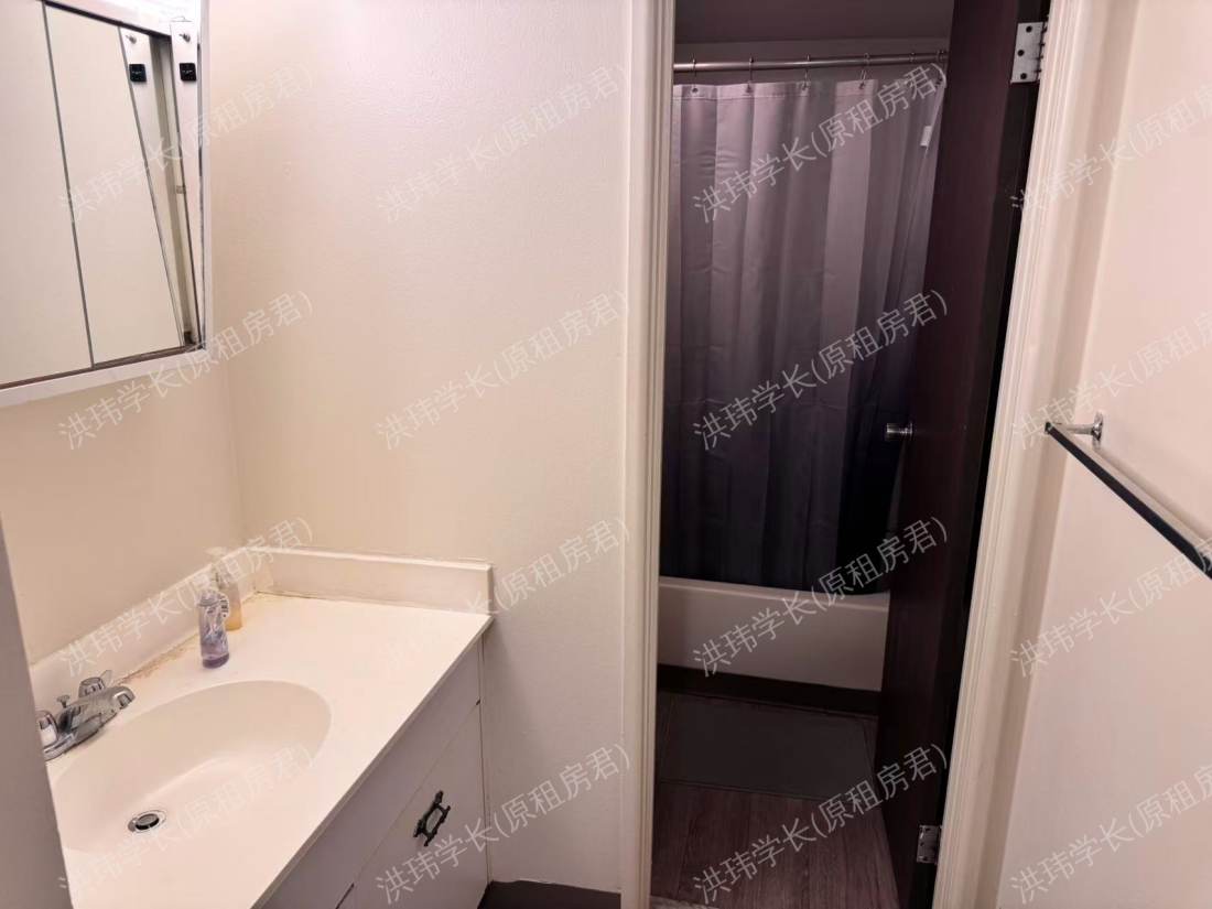 willowtree apartments 公寓