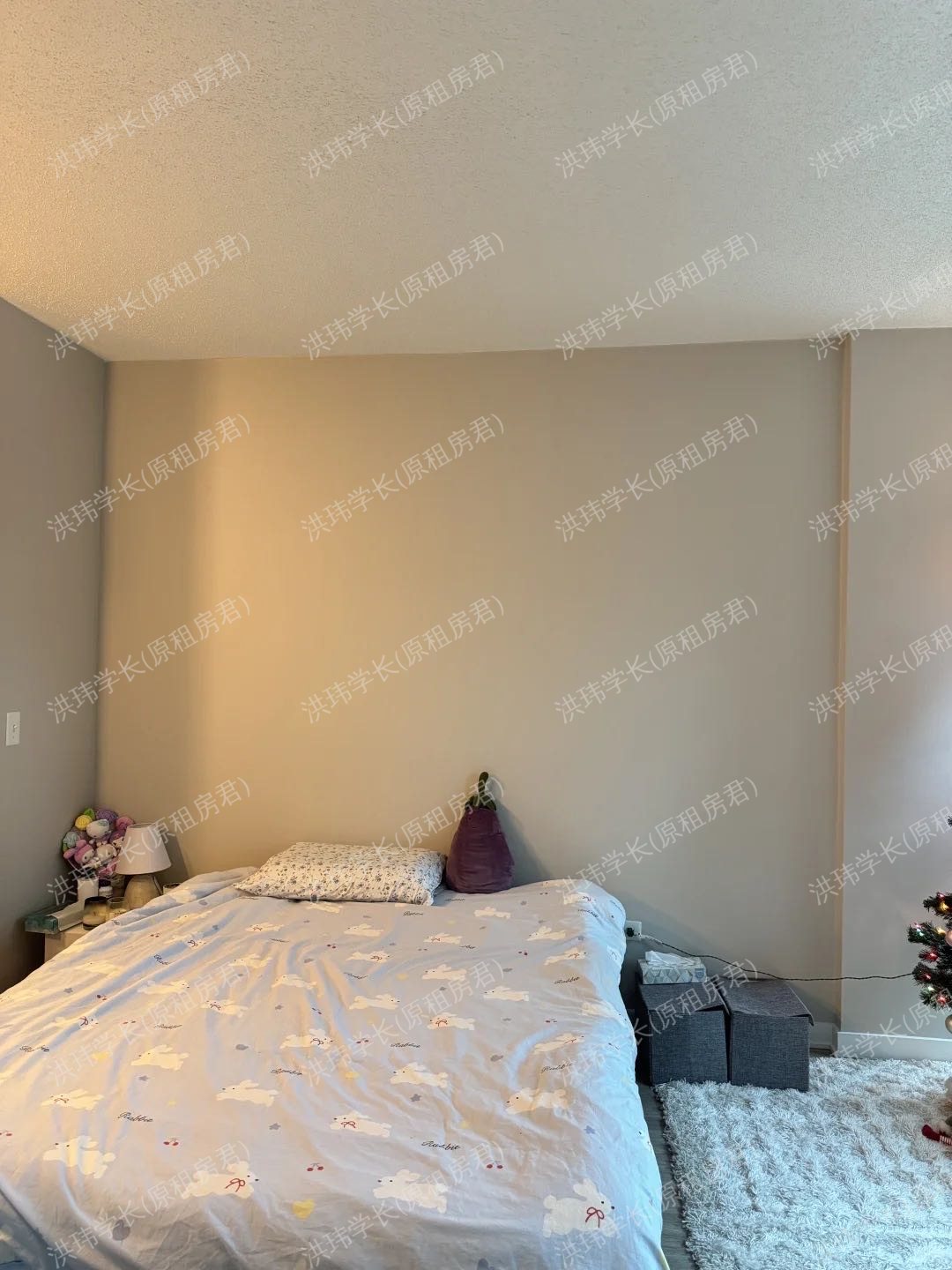 The Streeter at Streeterville公寓